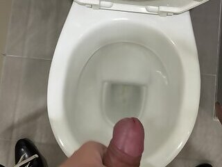 Jerking in Office Toilet